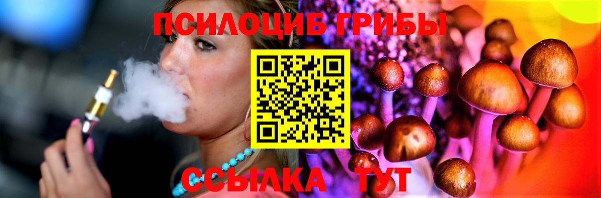 Галлюциногенные грибы Psilocybe Абакан